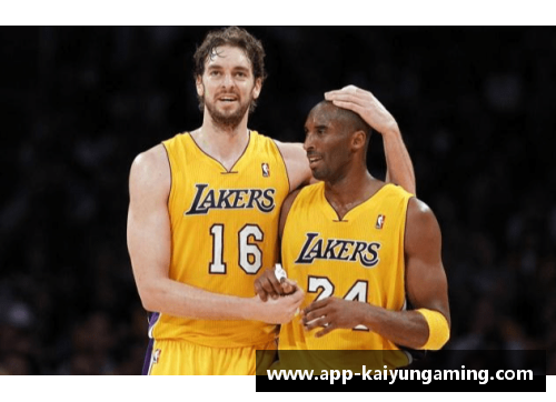 NBA球场激斗风波：明星对抗与裁判掌控